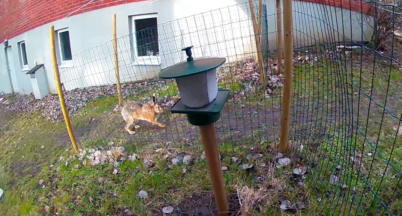 Revira viltgranulat p&aring; marken.jpg