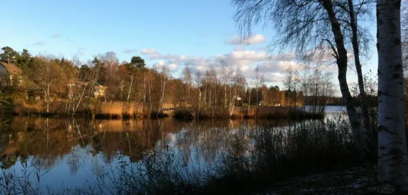 janetts bild långsjön.jpg