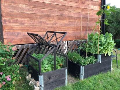 Pallkrageodling &ndash; Enkla tips f&ouml;r nyb&ouml;rjare | Tr&auml;dg&aring;rdsfix.se