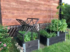 Pallkrageodling – Enkla tips för nybörjare | Trädgårdsfix.se