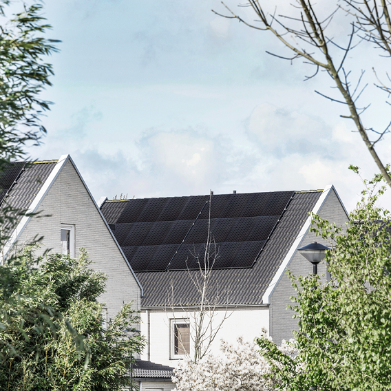 Solceller på tak och grönska