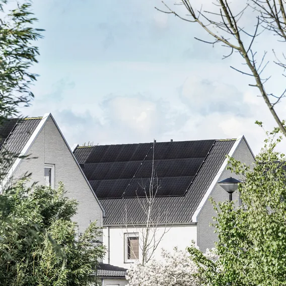 Solceller på tak och grönska