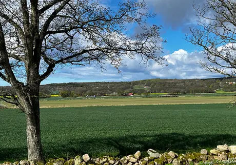Jordbrukslandskap
