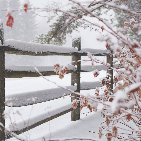 Trästaket i snölandskap