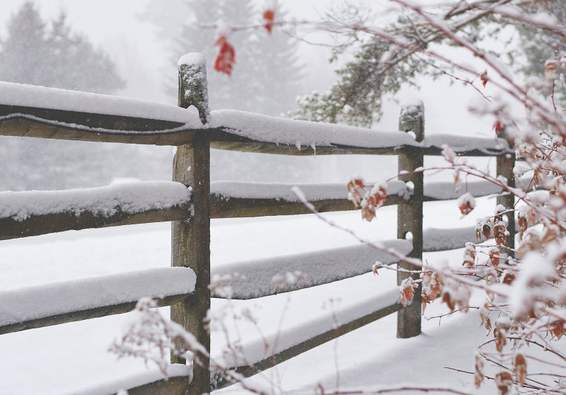 Trästaket i snölandskap