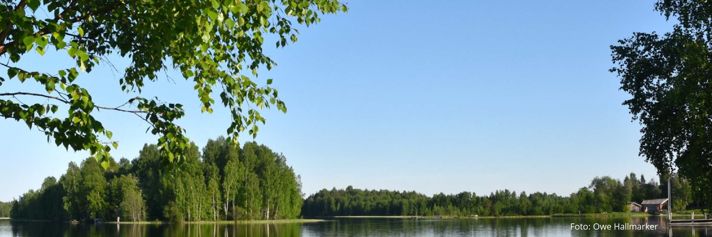 Vatten och träd i Mora