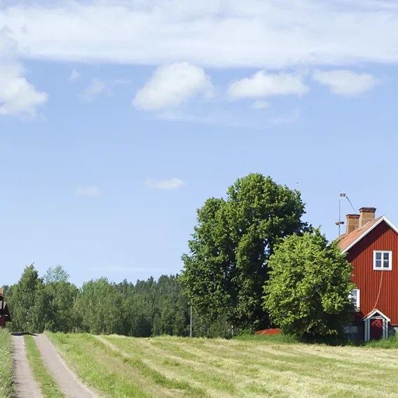 Landsbygd med röda hus i Leksand