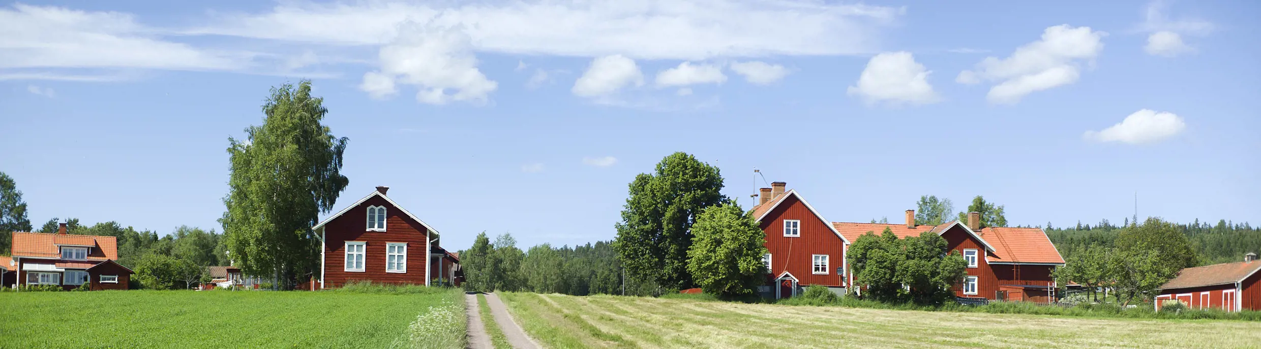 Landsbygd med röda hus i Leksand