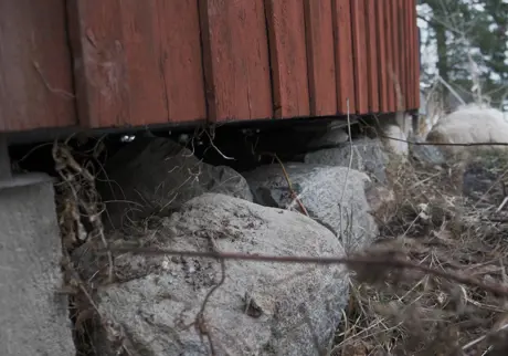 Röd träfasad på torpargrund