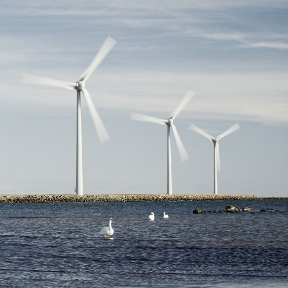 Tre vindkraftverk vid vattnet