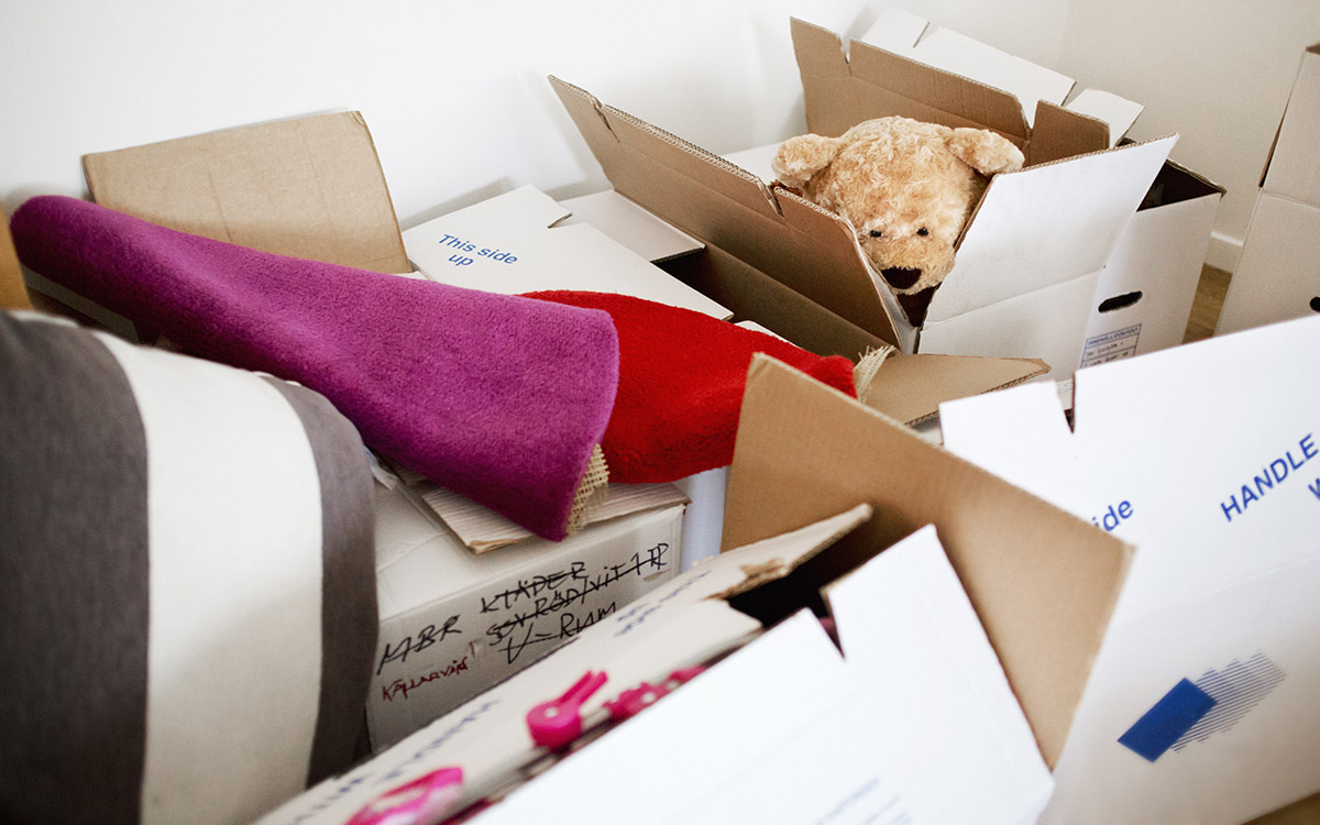 Öppnade flyttkartonger med nallebjörn som tittar ut