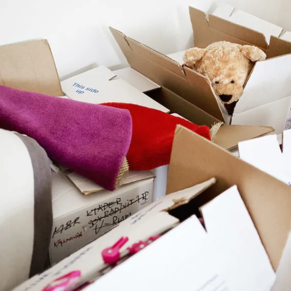 Öppnade flyttkartonger med nallebjörn som tittar ut