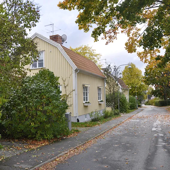 Gult trähus på gata under hösten