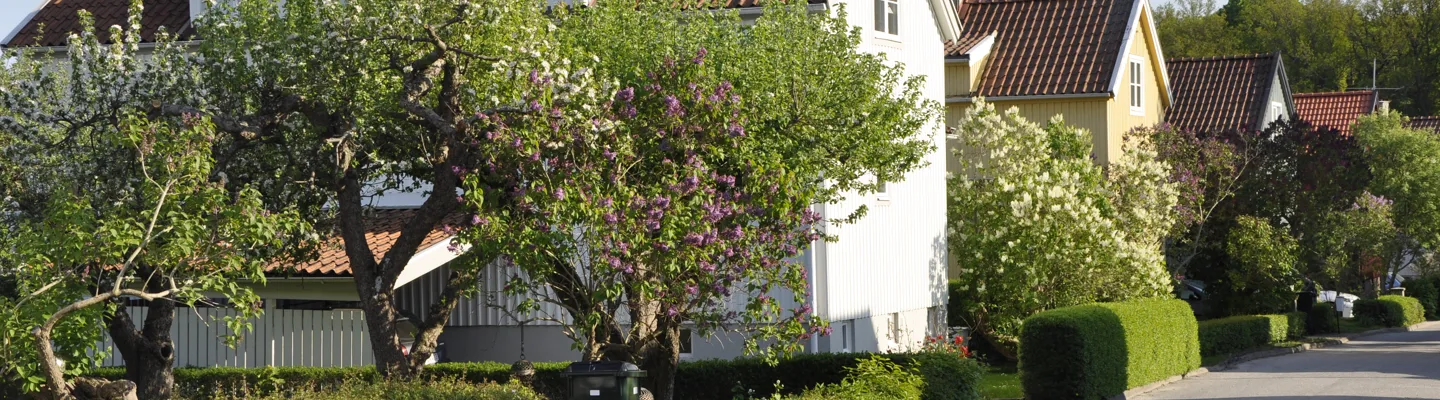 Villaområde under sommartid