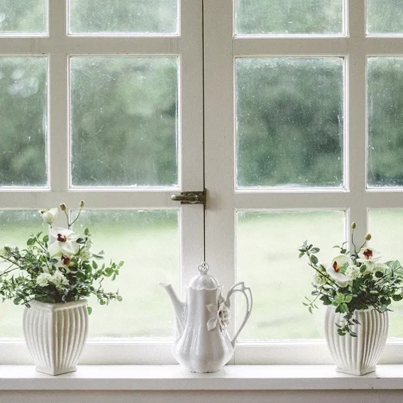 Fönster med spröjs och två blomkrukor