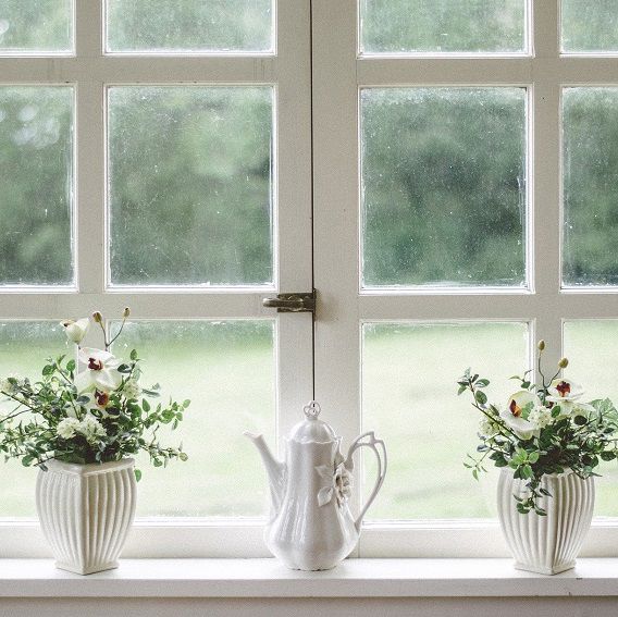 Fönster med spröjs och två blomkrukor
