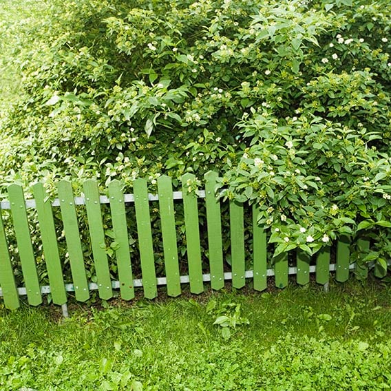 Grönt staket i lummig miljö