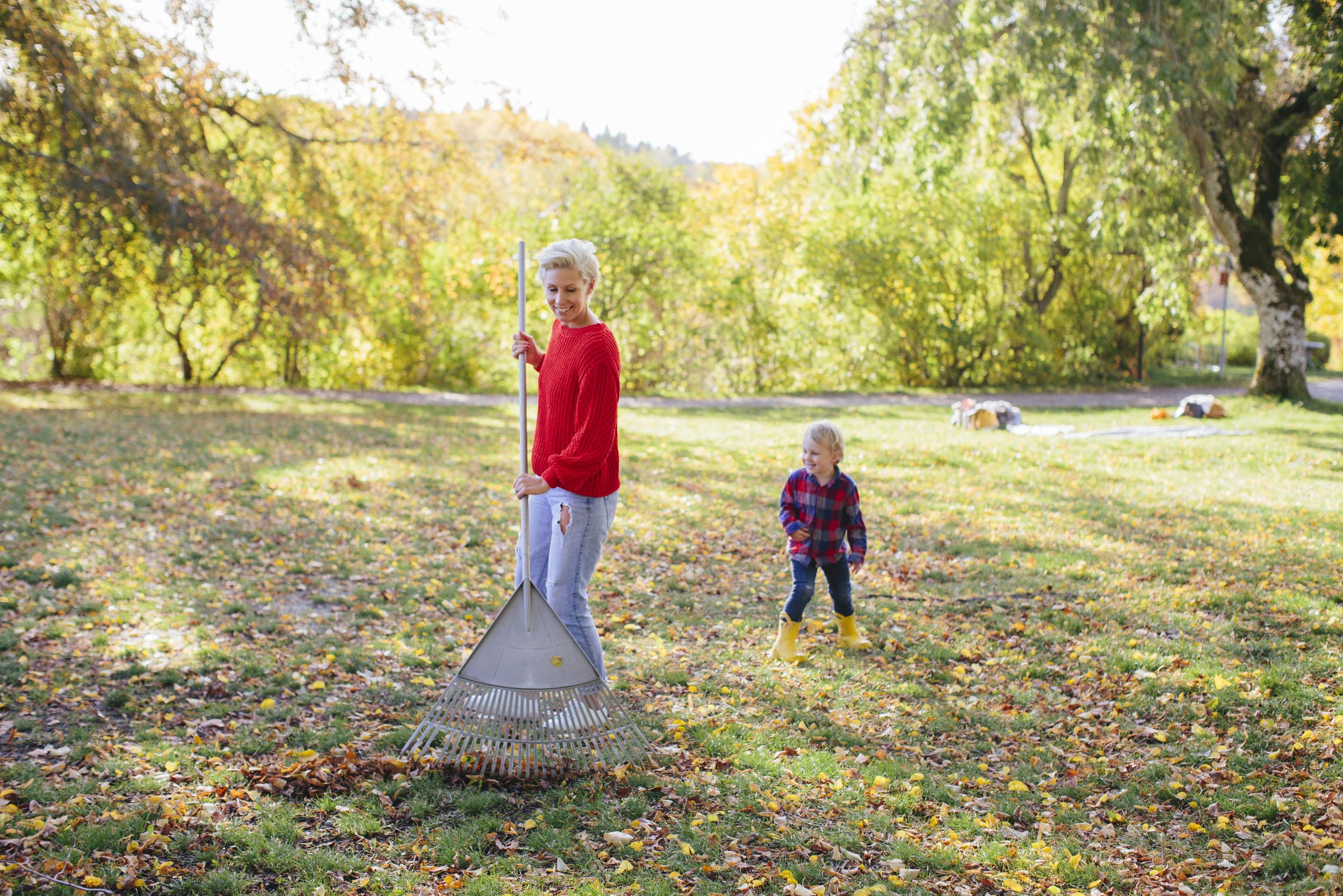 Kvinna krattar löv med barn