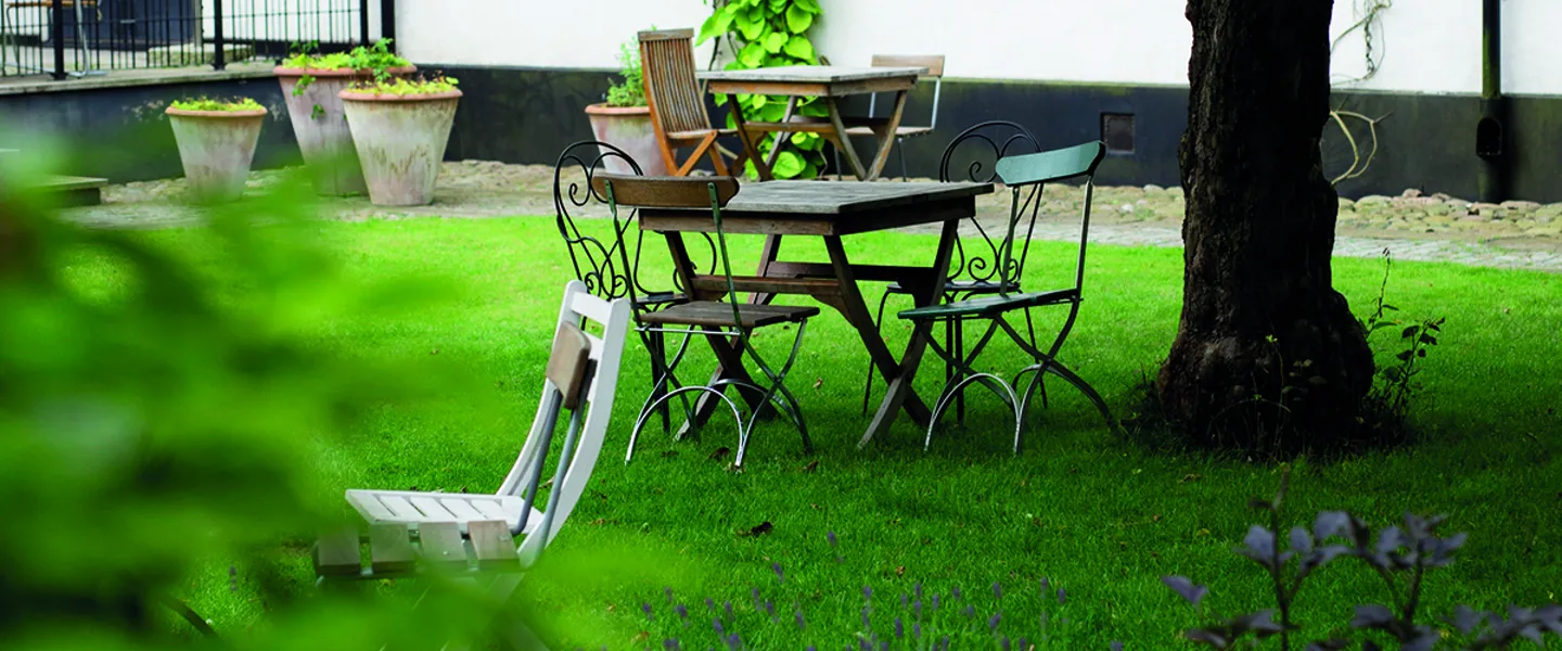 Trädgård med välskött gräsmatta