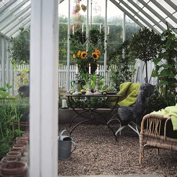 Mysigt växthus med inredning