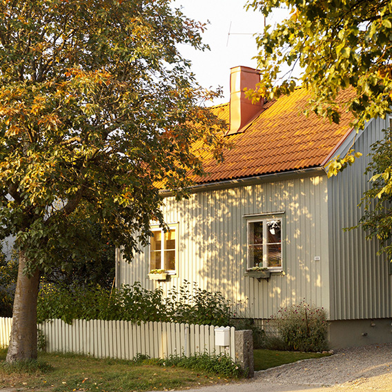 Höstbild med vit villa och vitt staket med träd utanför staketet